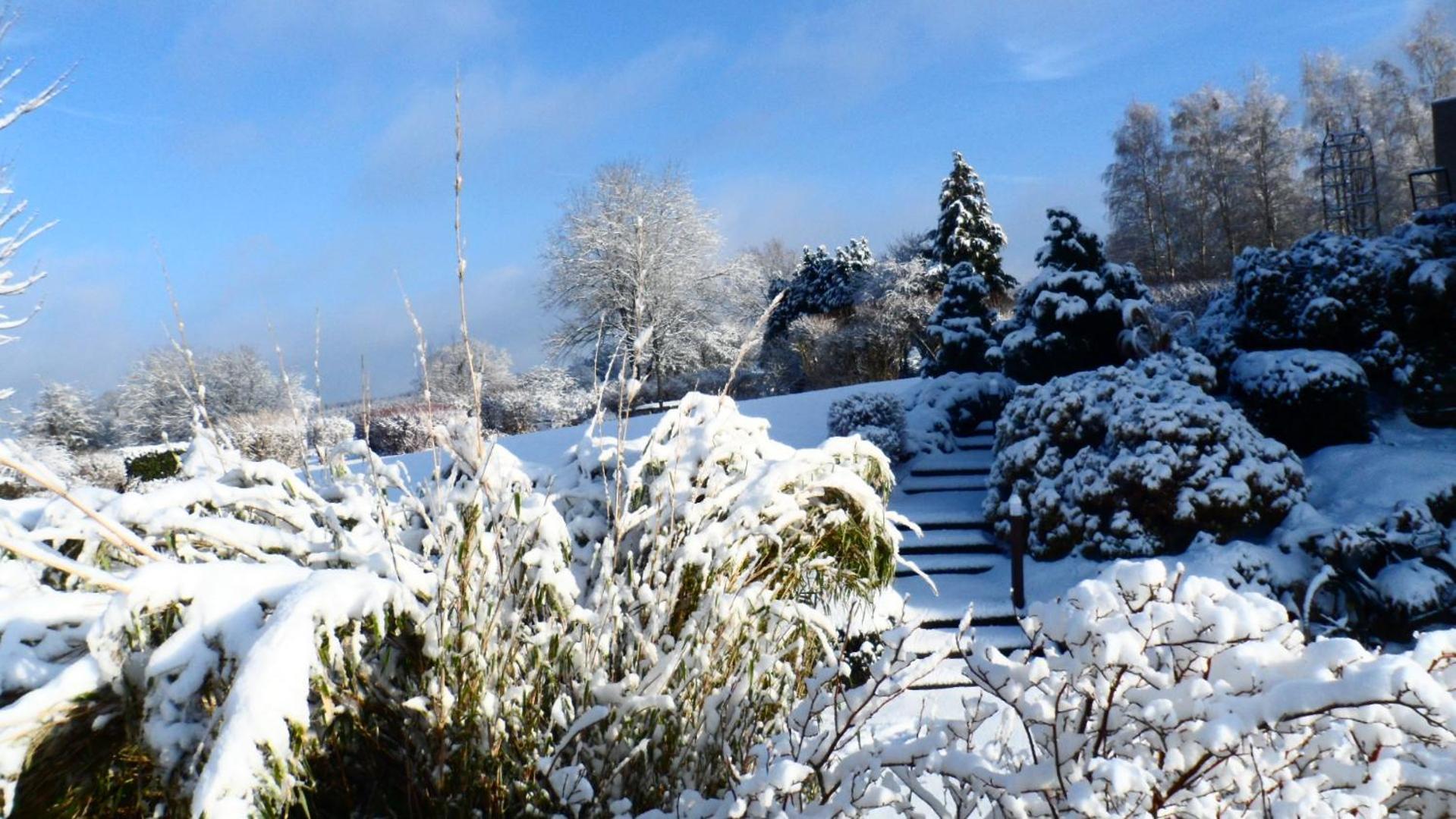Bed and Breakfast Le Renard'Or Trois-Ponts Exterior foto