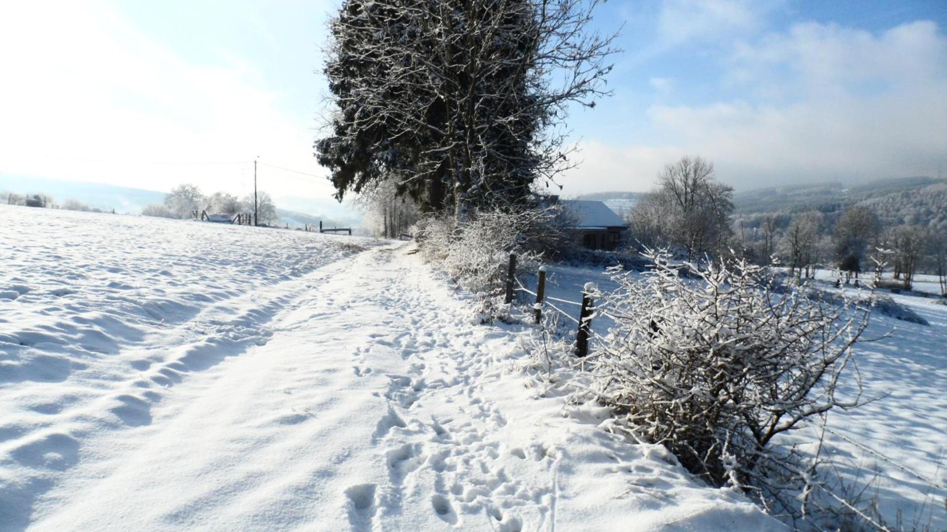 Bed and Breakfast Le Renard'Or Trois-Ponts Exterior foto