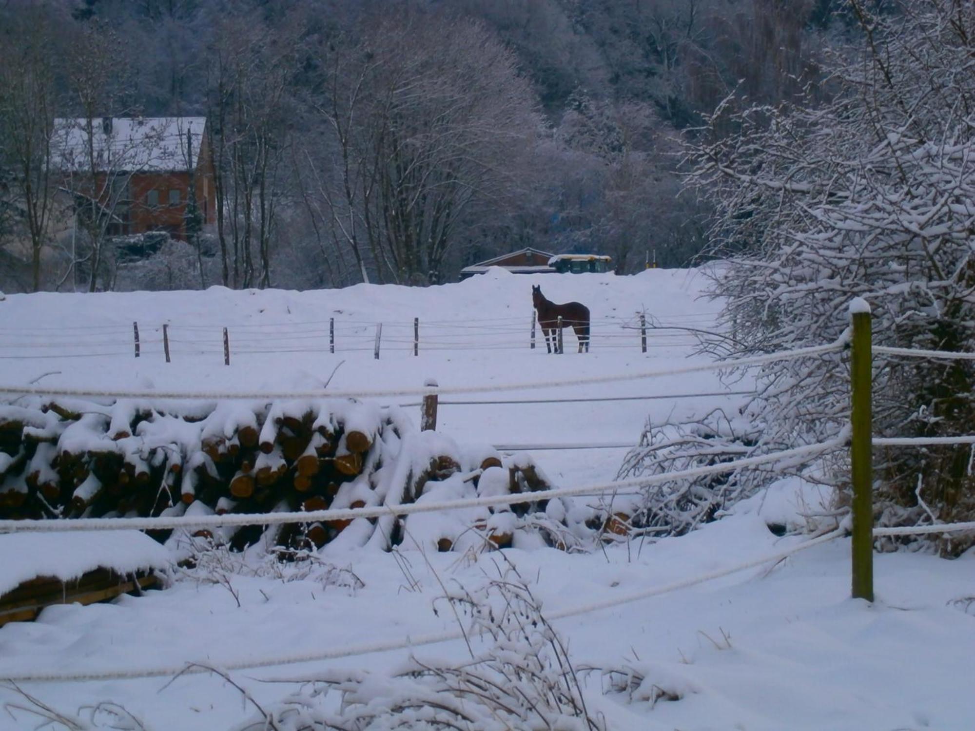Bed and Breakfast Le Renard'Or Trois-Ponts Exterior foto