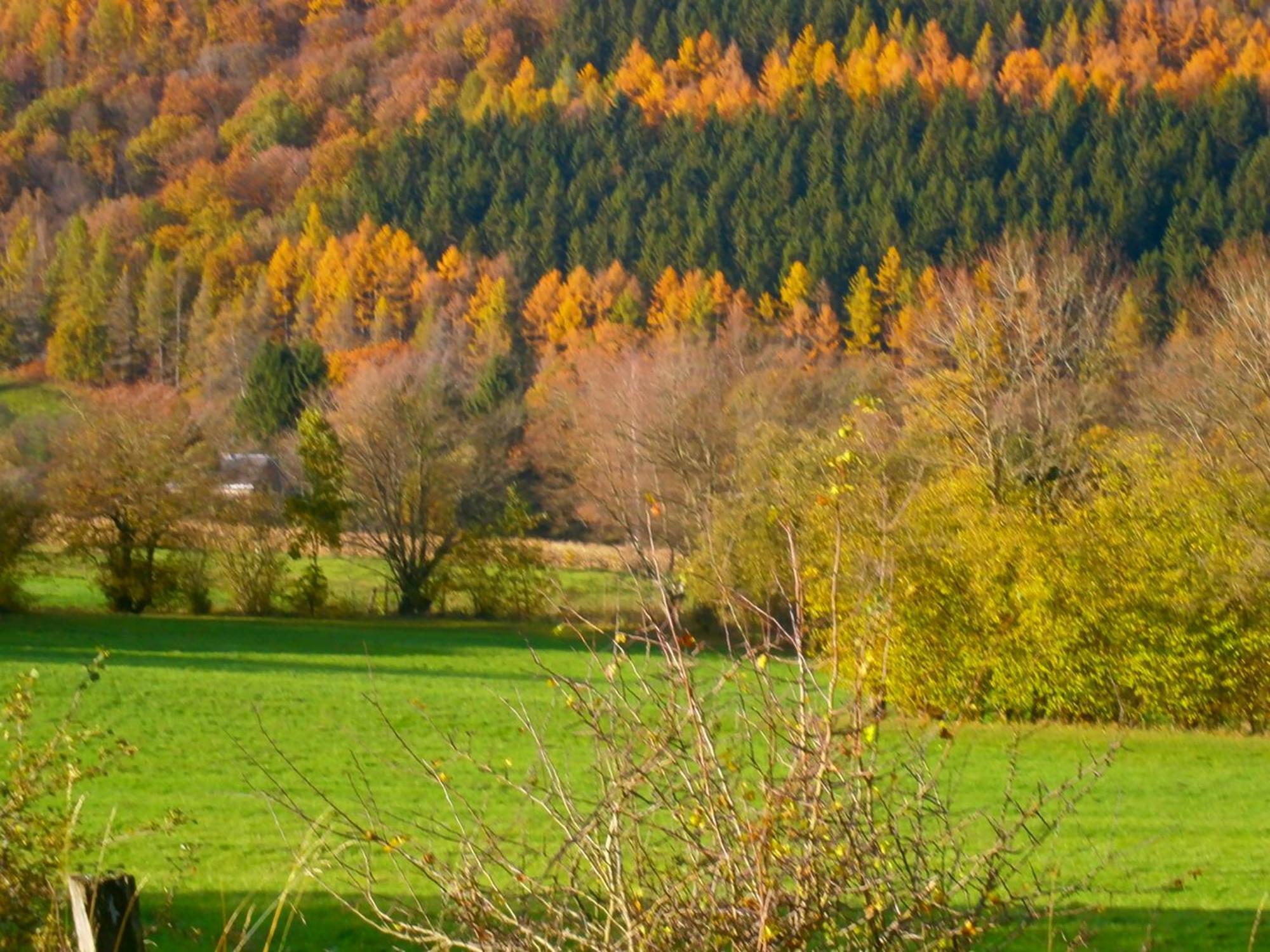 Bed and Breakfast Le Renard'Or Trois-Ponts Exterior foto