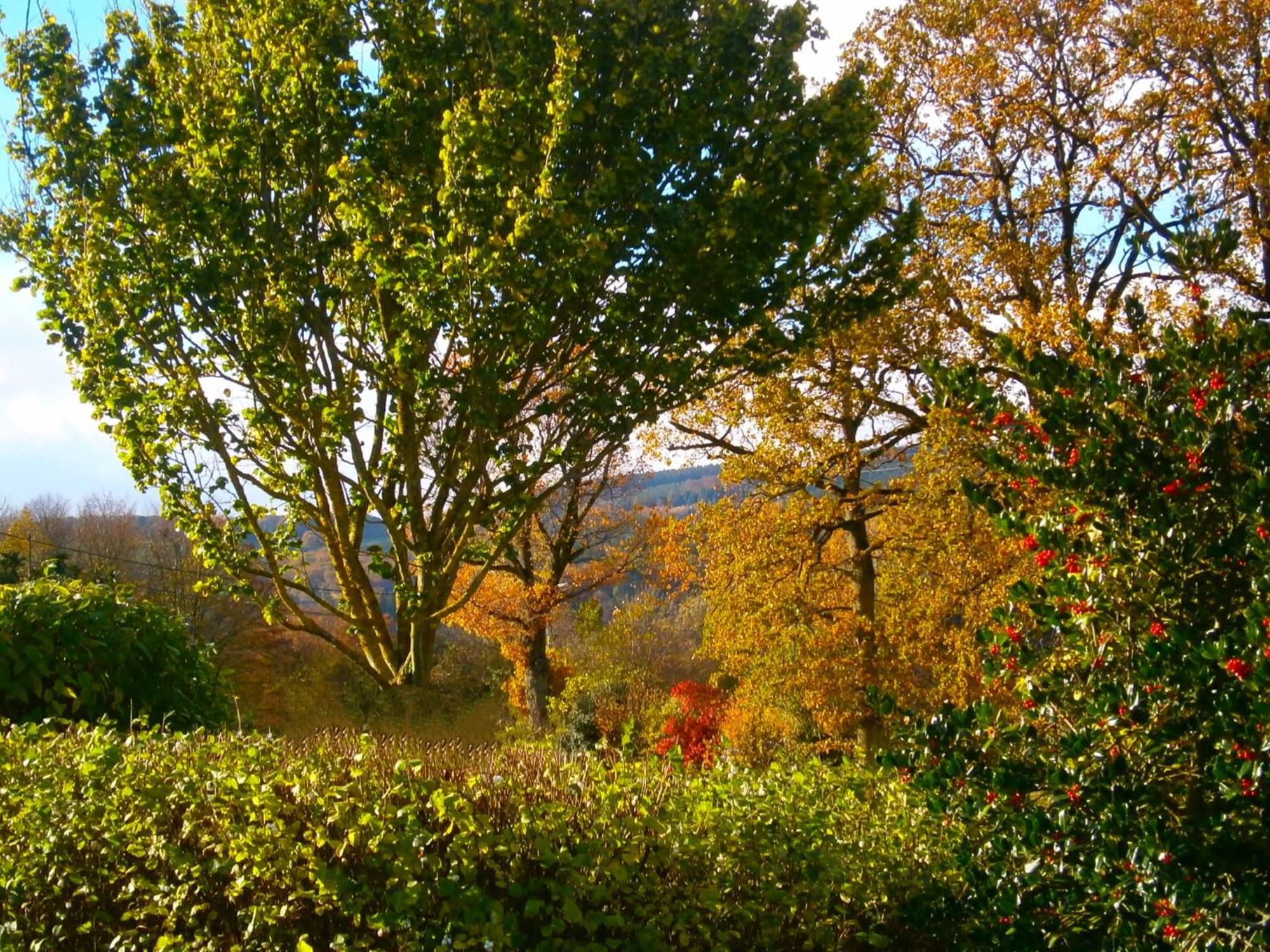 Bed and Breakfast Le Renard'Or Trois-Ponts Exterior foto