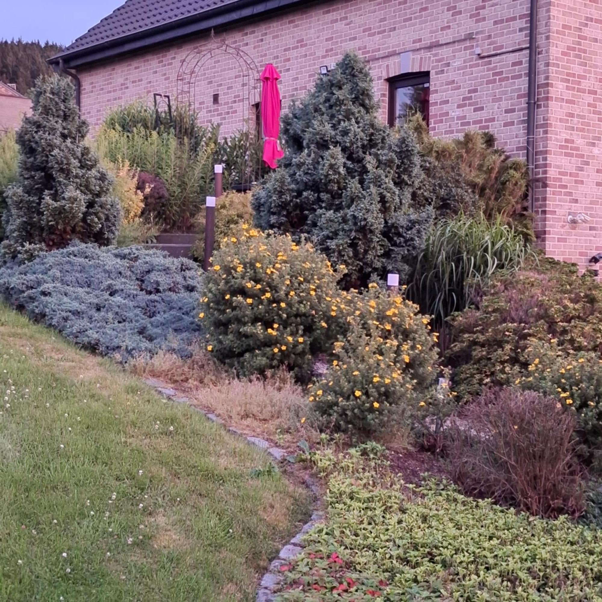 Bed and Breakfast Le Renard'Or Trois-Ponts Exterior foto