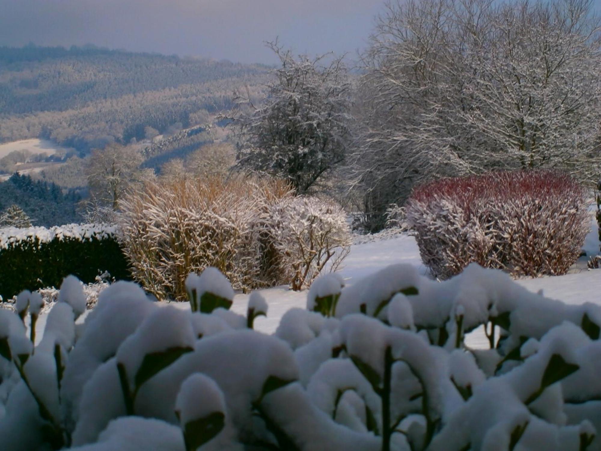 Bed and Breakfast Le Renard'Or Trois-Ponts Exterior foto
